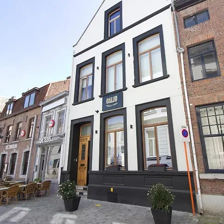 Värdshus Casa Caliu -loft- Tongeren