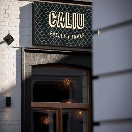 Casa Caliu -loft- Tongeren